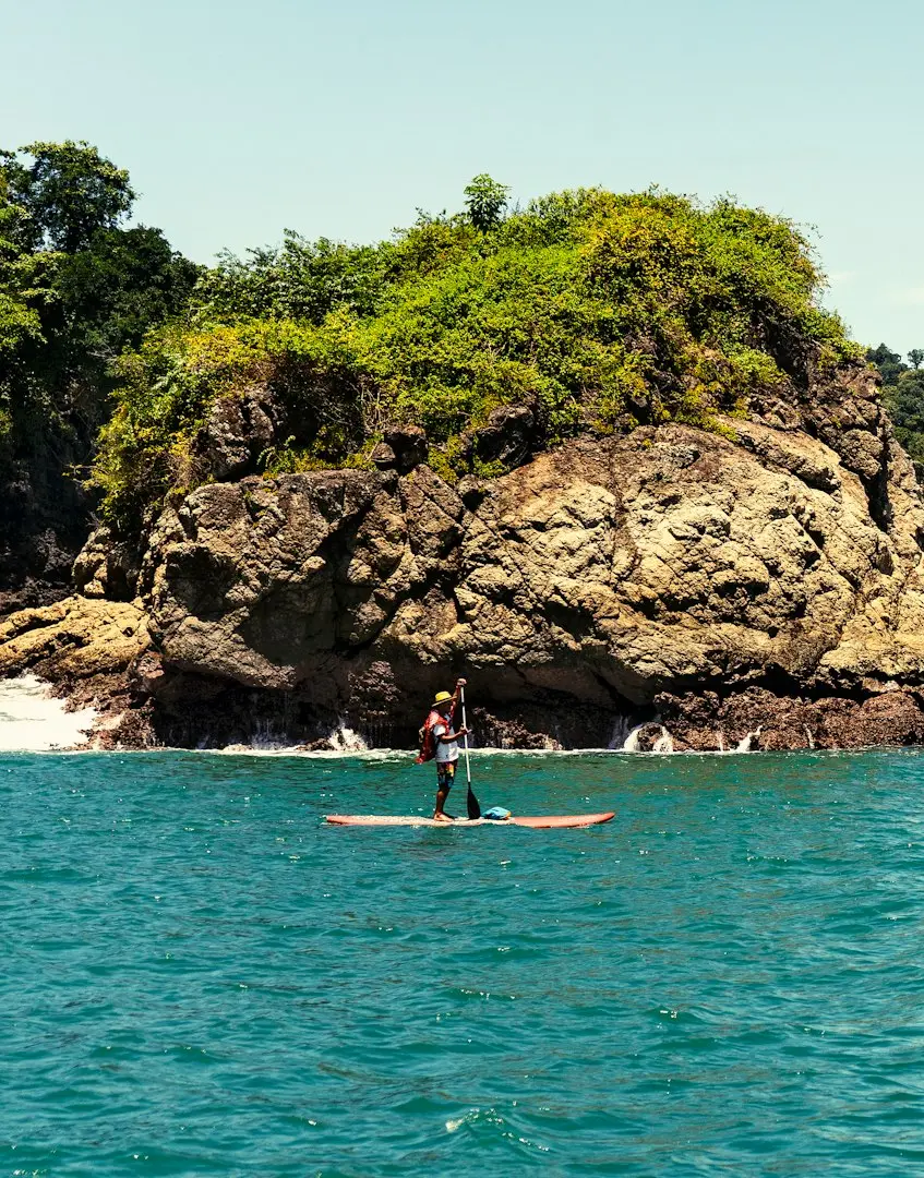 green trees on brown rock formation beside body of water during daytime