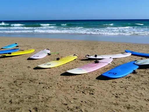 Surfboards