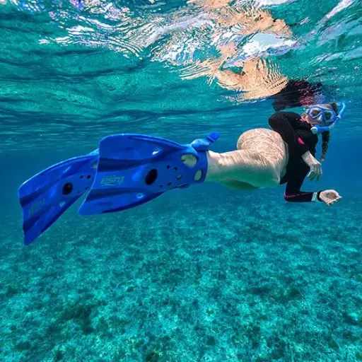 Snorkelling Fins