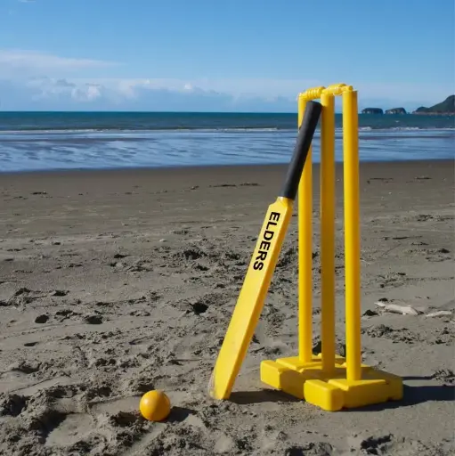 Beach Cricket Set