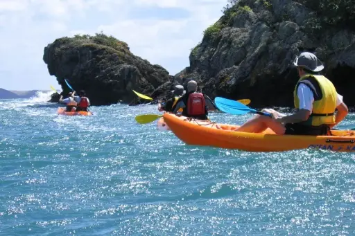 Kayak Single